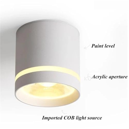 Spot de plafond LED pour éclairage d'intérieur chaleureux du salon