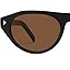 C2-brown Lens/Black Frame