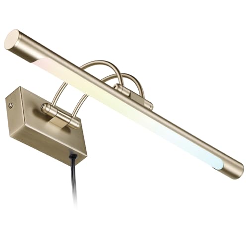 LEONLITE 3CCT Dimmable LED Picture Light,...