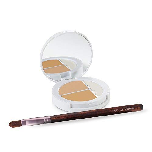 Sheer Cover Studio – Conceal and Brighten Highlight Trio – Two-Toned Concealers – Shimmering Highlighter – Light/Medium Shade – With FREE Concealer Brush – 3 Grams