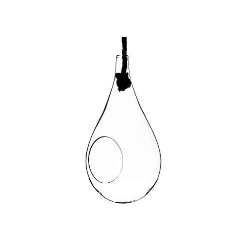 WGV Hanging Planter Terrarium, Width 5