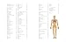 Human Anatomy: An Illustrated Guide to the Human Body (Encyclopedias)