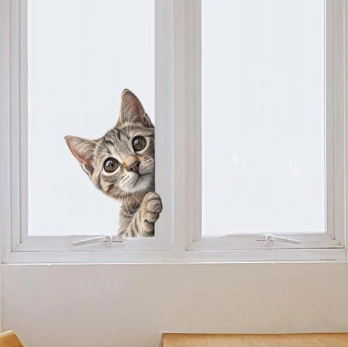 Vinilo Decorativo Gato Divertido para Puerta y Ventana miniatura 3