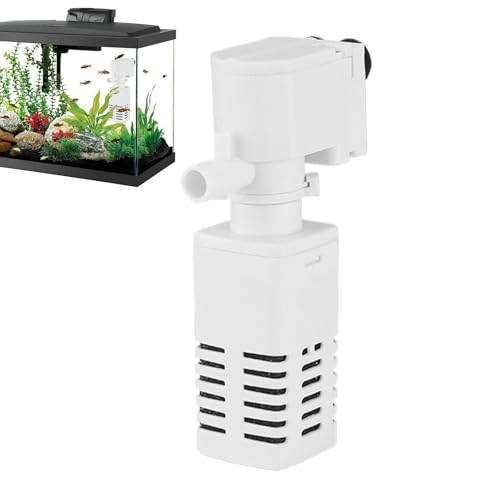 Filtre de bassin de poisson contre l'eau trouble pour tortue et poisson de combat