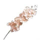 decoration mariage theme orchidee [Rappel des tailles] N'oubliez pas de vous référer à vos propres spécifications de taille plutôt que de vous fier uniquement aux mesures standard.