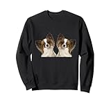 race de papillon commencant par c Le design du vêtement de race de chien papillon présente une image de deux adorables chiens papillon, jumeaux chéris. Le Papillon, également appelé l'épagneul jouet continental. Le mot papillon est français pour papillon. Ces chiens sont amicaux, intelligents et charmants.