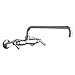 Chicago 445-L12E35ABCP Hot and Cold Water Sink Faucet, Chrome