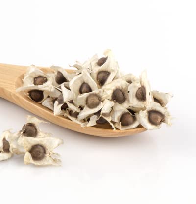 Moringa/Sahjan/Drum Sitick Shobhanjana 25 Seeds