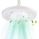BIOSA Ventilateur de Plafond avec Lumière et Telecommande, Ventilateur de plafond à visser avec éclairage, 3000K-6000K Dimmable Ventilateur Plafond avec Lumiere avec Douille E27/E26