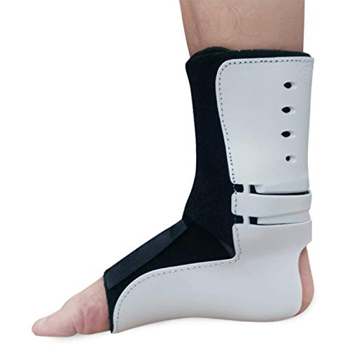  p T|[gu[X  ֐ߒɊɘa Ж X|[cp /L VOAE/M VO