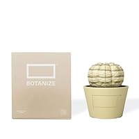 MEDICOM TOY × BOTANIZE VCD VCD – ToyScannerhk