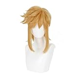 XM2CY Cosplay Wig made for Zeruda no Densetsu Zelda Breath of the Wild Link