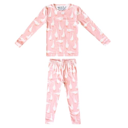 Copper Pearl Two Piece Long Sleeve Toddler Pajamas PJ Sets for Boys and Girls - Adorable Pattern Pajamas, Breathable Fabric to Keep Cool While Sleeping, Sizes 12 Months to 5T - Goosie
