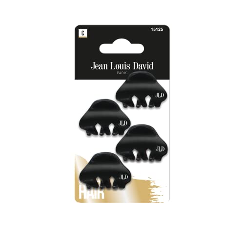 JEAN LOUIS DAVID - Lot de 4 Pinces à Cheveux - Tous Types de Cheveux - Coloris Aléatoire