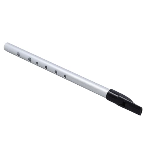 Generic Manuel D'apprentissage de la Flûte Courte pour les étudiants | Instrument de Flûte Courte D'excellente qualité Sonore pour les Groupes Scolaires | Boîte de Rangement Incluse (Argent D Tune)