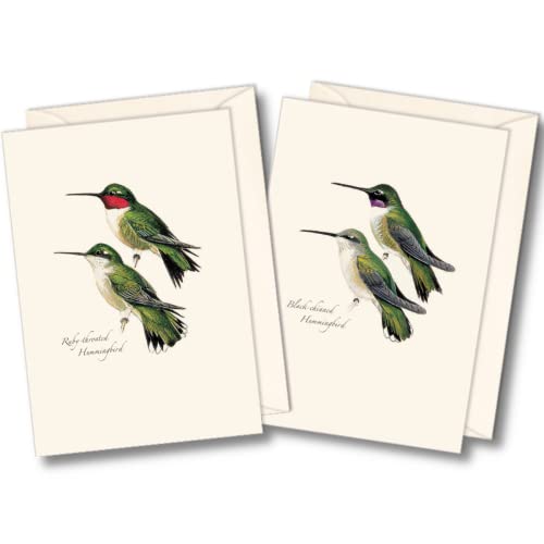 Image of Earth Sky + Water - Peterson's Hummingbird Notecard Set - 8 Blank Cards with Envelopes (4 each of 2 styles)