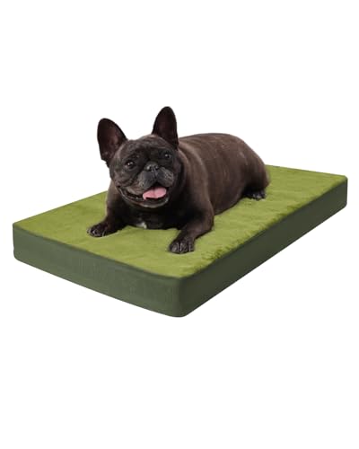 KSIIA Orthopedic Dog Bed for Small Dogs with Waterproof Lining, Green,23x17