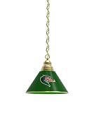 Holland Bar Stool Co. UAB Pendant Light with Brass Fixture by The