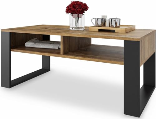 MeblePitus.pl Eleganter Couchtisch 120x60 cm - Boho Style - Offenes Doppelregal - Die perfekte Deko Wohnzimmer für Ihr Zuhause - große Oberfläche - Aus strapazierfähigen Sofatisch Materialien