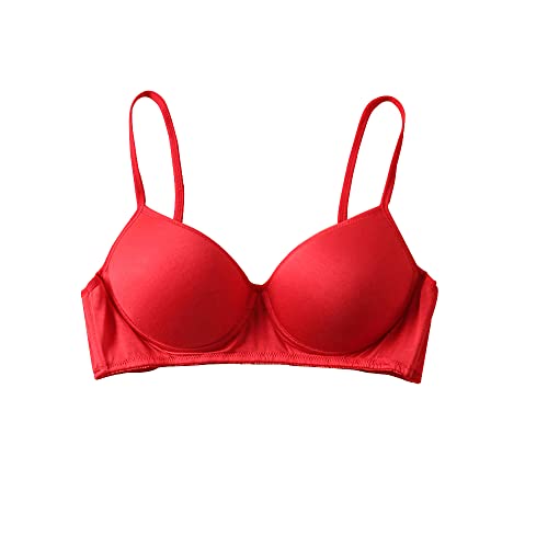 [CISULI] 100% �V���N�A�g�s�[ �u���W���[ �m�����C���[ �q���� �v�`�T�C�Y Pure Silk Bra and Panty (B-003, L)