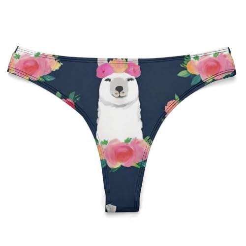 Women's Comfortable Hipster Briefs Panties Board Triangle Briefs Bikini2