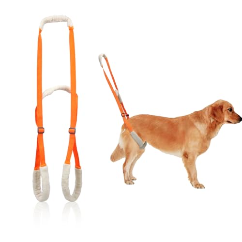 Image of Sling for Dogs Back Legs Rear Support Harness for Paralyzed or Handicapped Pets Assistance Lift Slings for Hind Leg Mobility Small Dog Handicap Supplies for Joint Injuries and Stability (Orange)