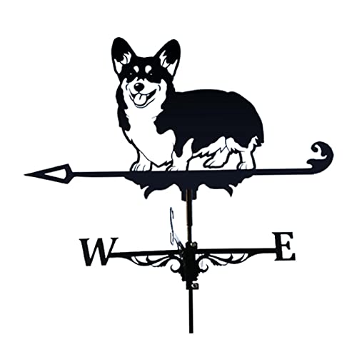 rockible AeB[N{vCWP[^[OK[fA[gVzj̒av[g - R[M[