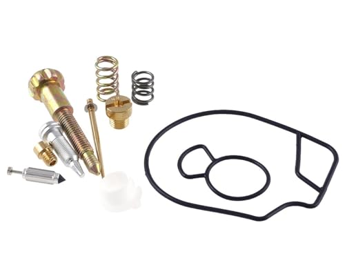 2EXTREME Vergaser Reparaturset kompatibel mit Dellorto PHVA 17,5mm – passend für Piaggio NRG, TPH, ZIP, Vespa ET2 50 – Dichtungssatz, Nadeln, Ventil – Set für Roller-Vergaser Reparatur