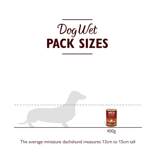 Lily's Kitchen Natürliches Nassfutter für ausgewachsene Hunde Dose - Rindsgulasch - Hundefutter Getreidefreies Rezept (6 x 400g dosen)