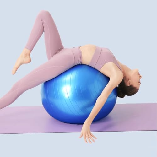 Bola De Pilates Suíça 65cm Com Bomba, Yoga Ginástica e Fisioterapia, Anti-Estouro Suporta Até 200kg