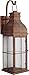 Craftmade ZA1804-WC-LED Vincent Outdoor LED Wall Mount Sconce Lighting, 1-Light, 8 Watts, Weathered Copper (6"W x 19"H)