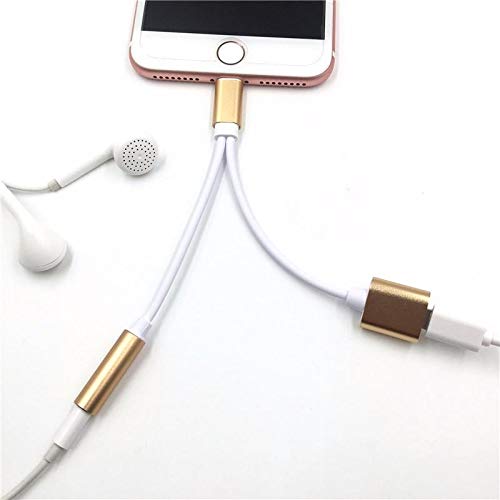 2 In 1 Lightning Adapter Charger, 3.5mm 