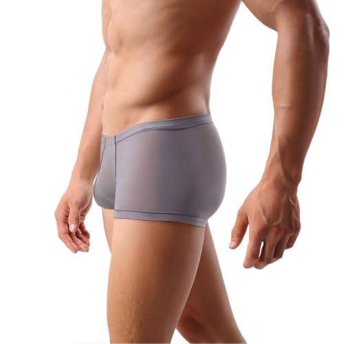 ZONBAILON Men's Sexy See Through Boxer Briefs Mesh Sheer Breathable Low Rise Trunks Underwear2