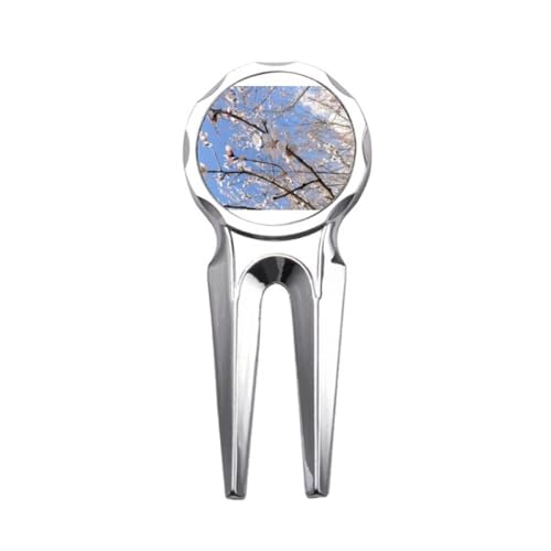 ̎}̎ʐ^ StfB{bgc[ St{[}[J[Cc[