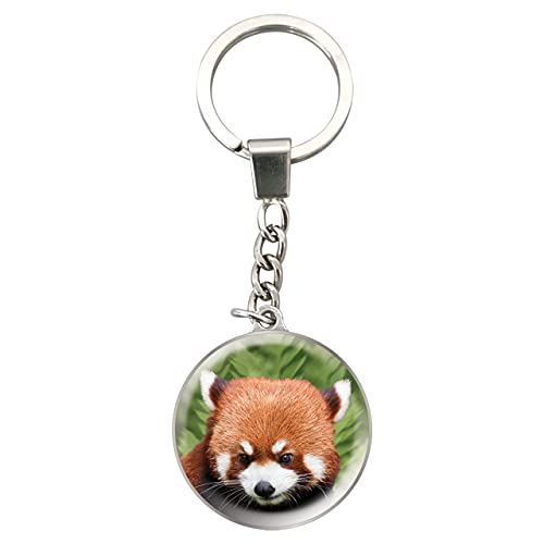 Deluxebase Magnidome Keychain from Dome Shaped Picture Key Ring with Stainless Steel Chain. Crystal Glass Dome Key Chain