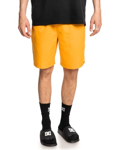Short DC Shoes Stryker confortable et robuste pour l'été masculin