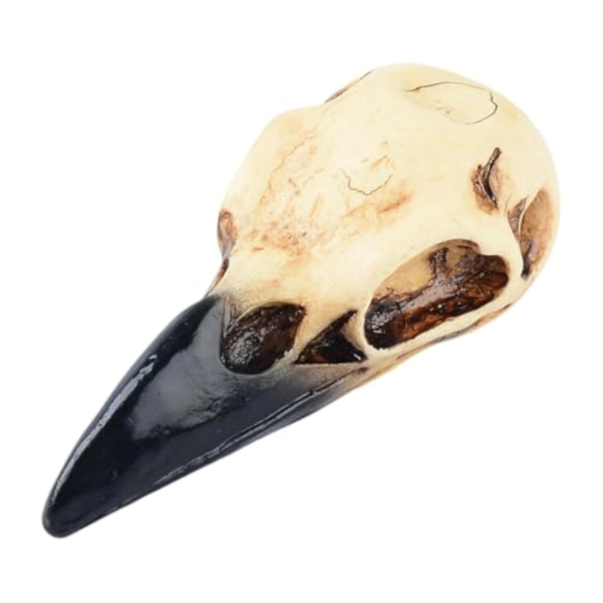 Halloween Raven Skull Decor Necklace, Spooky Accessory