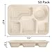 Hacaroa 50 Pack 5 Compartment Paper Plates Disposable, 11