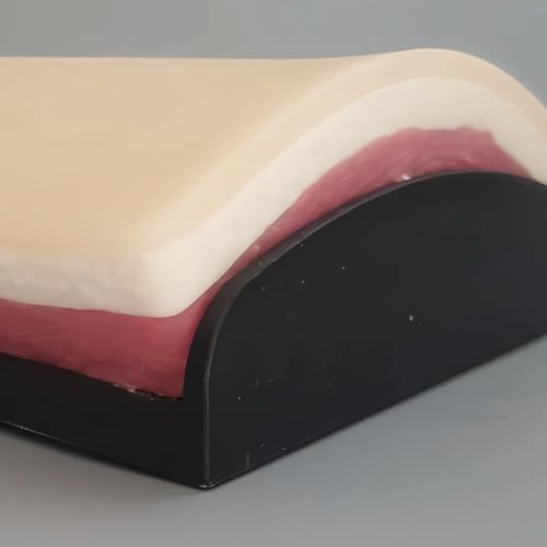 IV Injection Training Pad (Curved) - Venipuncture Practice Kit for Medical Students, Nurses - 3-Layer Silicone Simulation Skin Practice Pad 7.1 × 1.6 × 5.5 inches