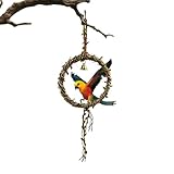 Balançoire Pour Oiseaux De Cage | Jouet Balançoire Suspendu | Jouets pour Oiseaux | pour Cage, Mâchonnement, Stimulation, Jeu, Escalade, Calopsitte, Diamant Mandarin, Conure, Inséparable pour