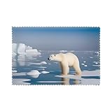 Structure des accessoires : après réception, il y a 6 sets de table BROLEO Polar Bear Ice disponibles, qui peuvent répondre aux besoins des ménages multi-familles ou d'une utilisation en extérieur. Il est également très bon.