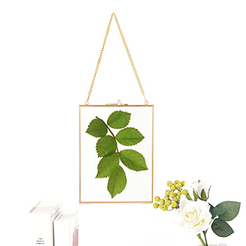 Brass Hanging Photo Frame, Copper Glass Picture Frames Clip Modern Wall Decor, Plant Specimen Artwork Ornament Display, 6X8 Vertical Gold #TOP1