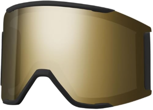 [X~X] XL[ S[O XyAY 2023 Squad MAG Replacement Lens XL[ Xm[{[h