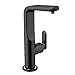 Grohe 32185KS0 Veris Centerset Lavatory Faucet with Popup, Black