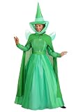 Women's Disney Sleeping Beauty Fauna Costume, Green Fairy Godmother Cosplay Outfit