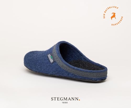 Stegmann 17827