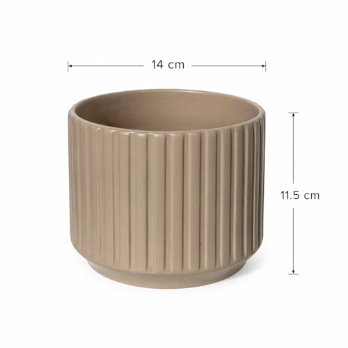 Image of Xtore Refined Ribbed Ceramic Planter Pot for Indoor Plants | Contemporary Wide Flower Pot for Home, Office Desk & Balcony Decor (Brown - Planter only)