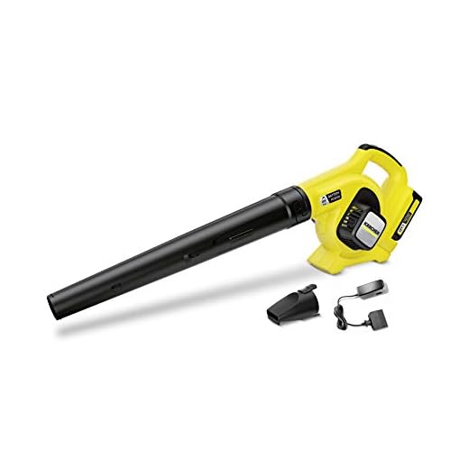 Kärcher Soplador LBL 2 Battery Set 18V (1.445-110.0)