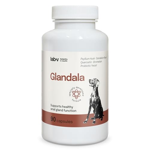 Lab-V Glandala para perros – Apoyo a la función anal y la digestión – 90 cápsulas