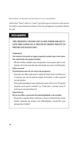 Menino Brilhante. Um Guia Prático Para Educar Filhos com Amor e Responsabilidade